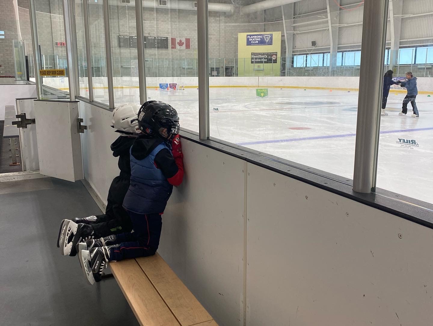 ice skating boy on bench at Harry Howell Arena